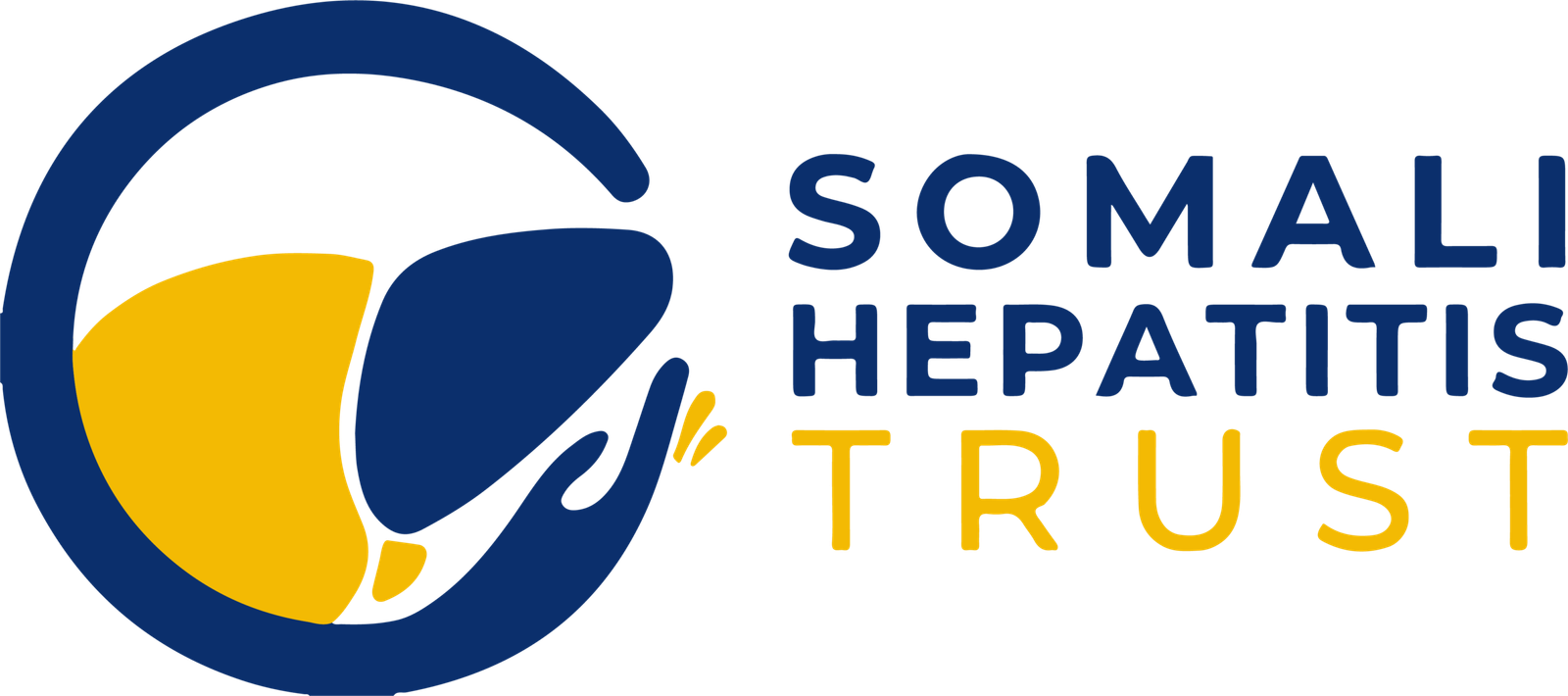 Somali Hepatitis Trust